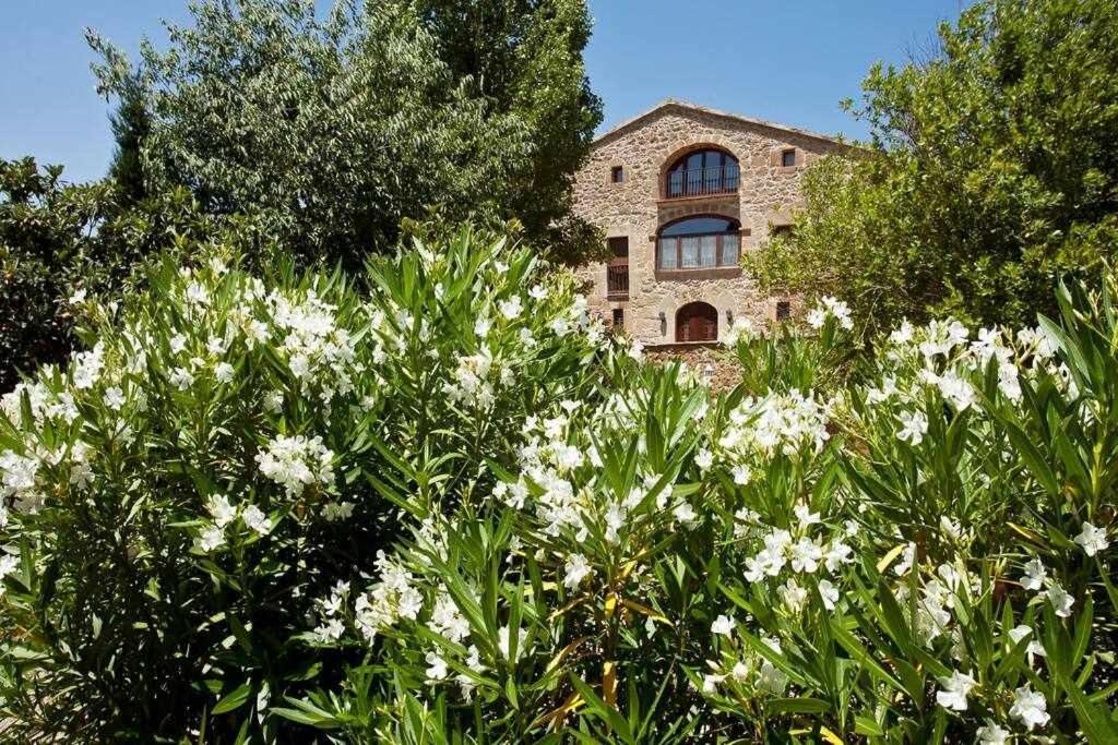 Masia Mas D'En Bosch ييذا المظهر الخارجي الصورة